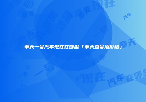 奉天一号汽车现在在哪里「奉天壹号酒价格」