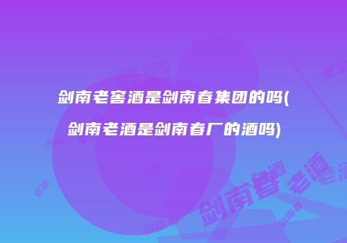 剑南老窖酒是剑南春集团的吗(剑南老酒是剑南春厂的酒吗)