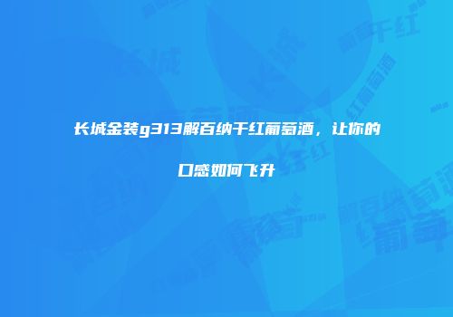 长城金装g313解百纳干红葡萄酒，让你的口感如何飞升