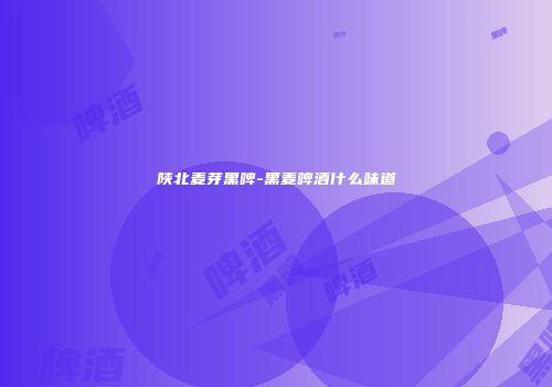 陕北麦芽黑啤-黑麦啤酒什么味道