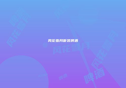 风花雪月听装啤酒