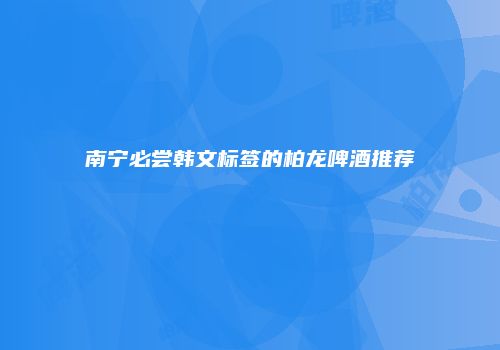 南宁必尝韩文标签的柏龙啤酒推荐