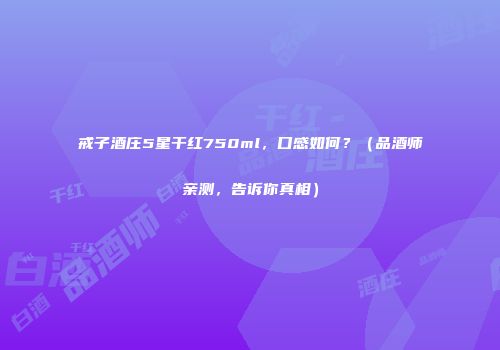 戒子酒庄5星干红750ml，口感如何？（品酒师亲测，告诉你真相）