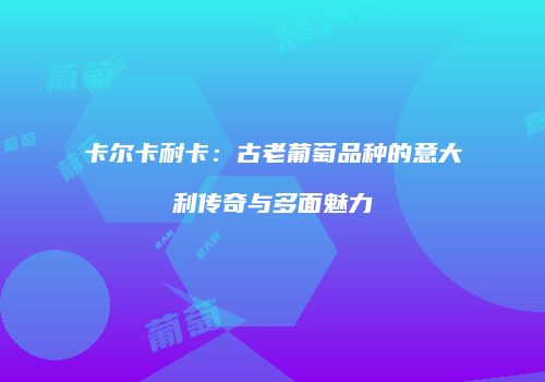 卡尔卡耐卡：古老葡萄品种的意大利传奇与多面魅力