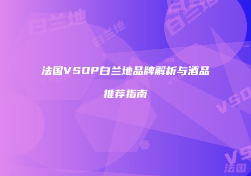法国VSOP白兰地品牌解析与酒品推荐指南