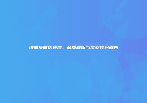 法国灰雁伏特加：品质解析与常见疑问解答