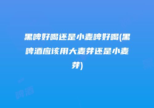 黑啤好喝还是小麦啤好喝(黑啤酒应该用大麦芽还是小麦芽)
