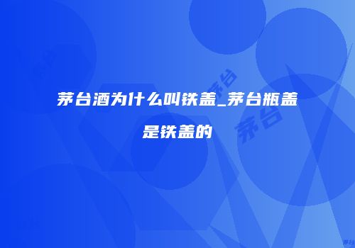 茅台酒为什么叫铁盖_茅台瓶盖是铁盖的