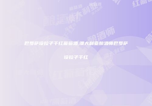 巴罗萨设拉子干红葡萄酒,澳大利亚酿酒师巴罗萨设拉子干红