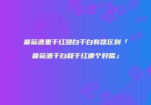 葡萄酒里干红甜白干白有啥区别「葡萄酒干白和干红哪个好喝」