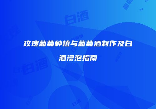 玫瑰葡萄种植与葡萄酒制作及白酒浸泡指南