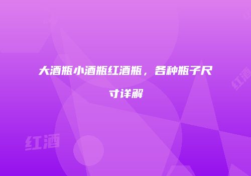 大酒瓶小酒瓶红酒瓶，各种瓶子尺寸详解