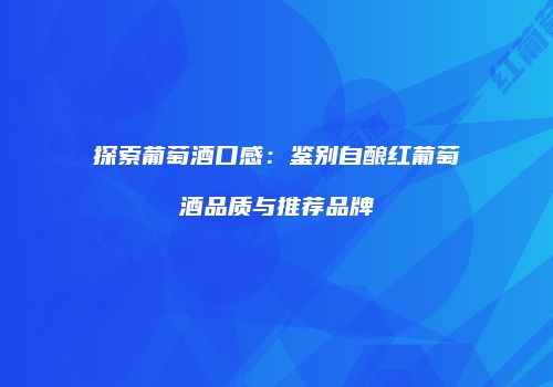 探索葡萄酒口感：鉴别自酿红葡萄酒品质与推荐品牌