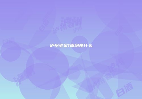 泸州老窖1南阳是什么