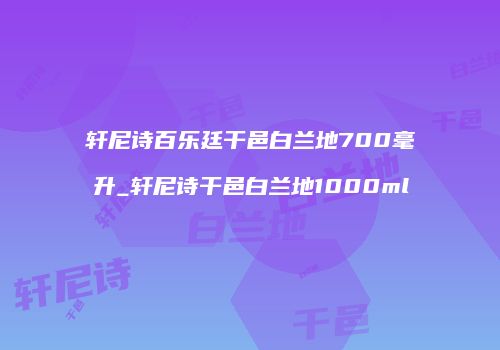 轩尼诗百乐廷干邑白兰地700毫升_轩尼诗干邑白兰地1000ml