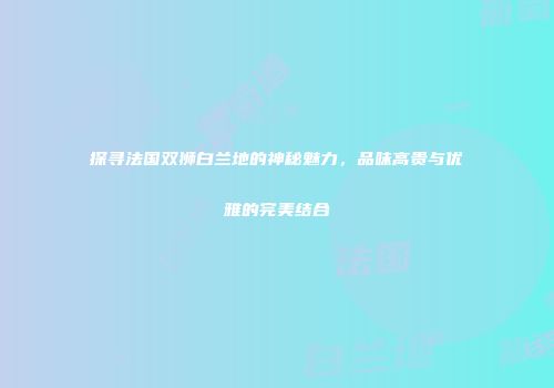 探寻法国双狮白兰地的神秘魅力，品味高贵与优雅的完美结合