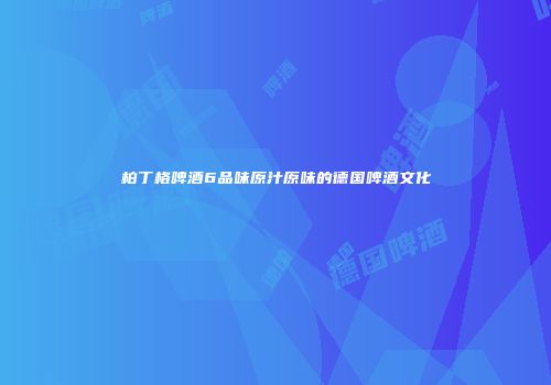 柏丁格啤酒6品味原汁原味的德国啤酒文化