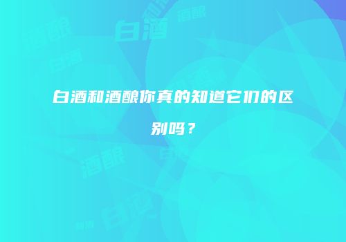 白酒和酒酿你真的知道它们的区别吗？