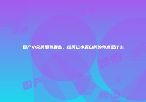 国产小众啤酒有哪些，维奥拉小麦白啤的特点是什么