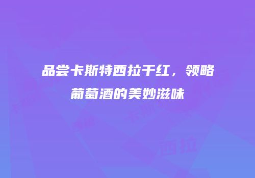 品尝卡斯特西拉干红，领略葡萄酒的美妙滋味