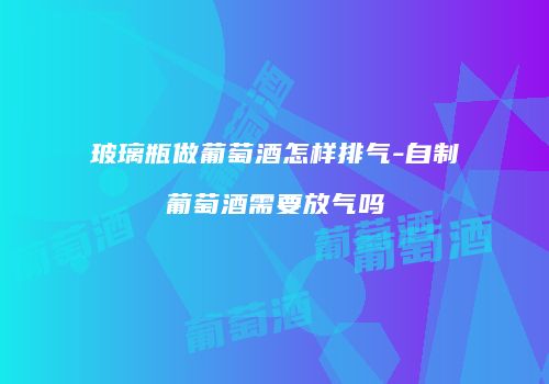 玻璃瓶做葡萄酒怎样排气-自制葡萄酒需要放气吗