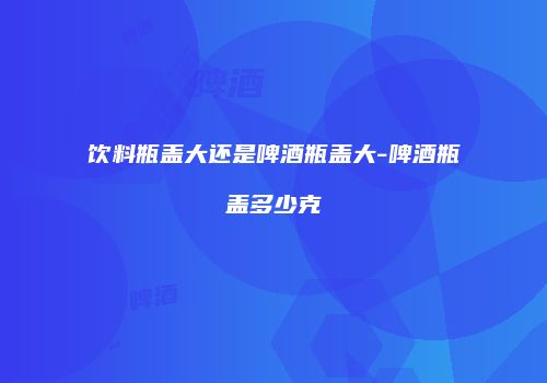 饮料瓶盖大还是啤酒瓶盖大-啤酒瓶盖多少克