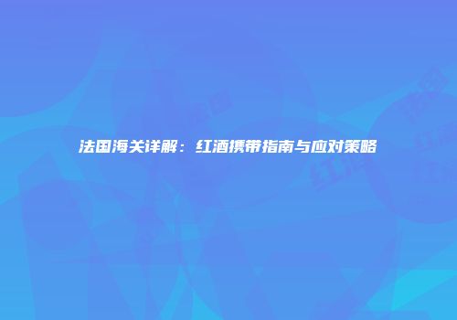 法国海关详解：红酒携带指南与应对策略