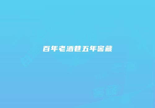 百年老酒巷五年窖藏
