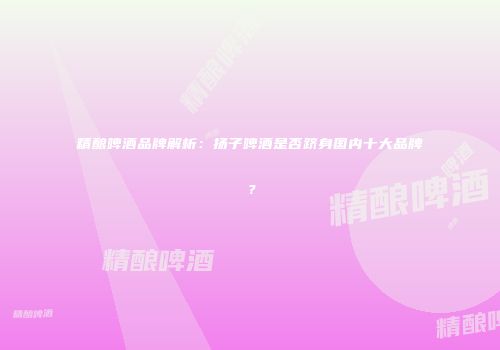 精酿啤酒品牌解析：扬子啤酒是否跻身国内十大品牌？