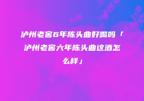 泸州老窖6年陈头曲好喝吗「泸州老窖六年陈头曲这酒怎么样」