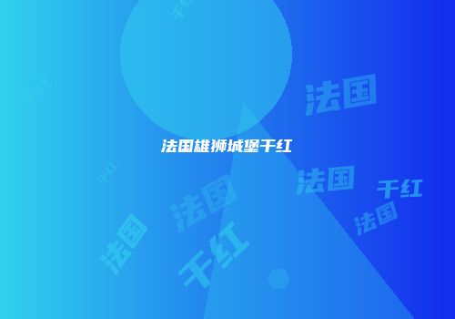 法国雄狮城堡干红