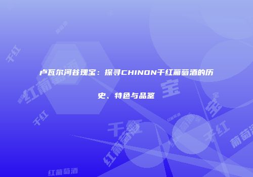 卢瓦尔河谷瑰宝：探寻CHINON干红葡萄酒的历史、特色与品鉴
