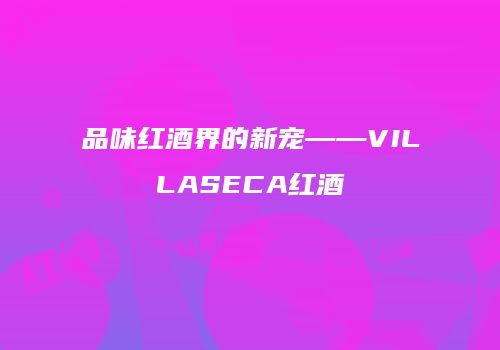品味红酒界的新宠——VILLASECA红酒
