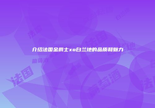 介绍法国金爵士xo白兰地的品质和魅力