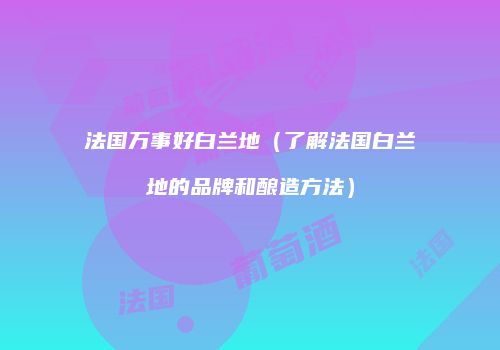 法国万事好白兰地（了解法国白兰地的品牌和酿造方法）