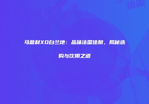 马爹利XO白兰地：品味法国佳酿，揭秘选购与饮用之道
