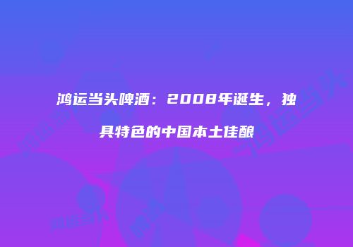鸿运当头啤酒：2008年诞生，独具特色的中国本土佳酿