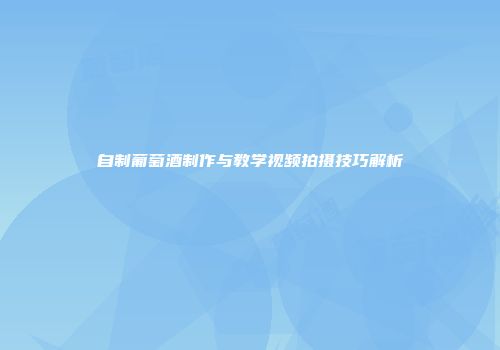 自制葡萄酒制作与教学视频拍摄技巧解析