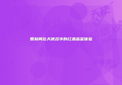 智利两位天使名字的红酒品鉴体验