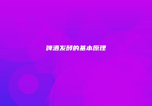 啤酒发酵的基本原理