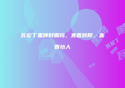 瓦伦丁黑啤好喝吗，焦香醇厚，麦香怡人