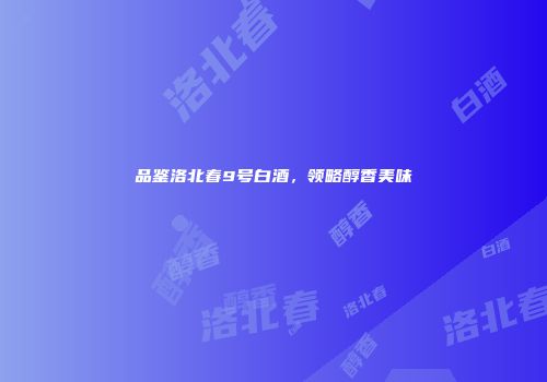品鉴洛北春9号白酒，领略醇香美味