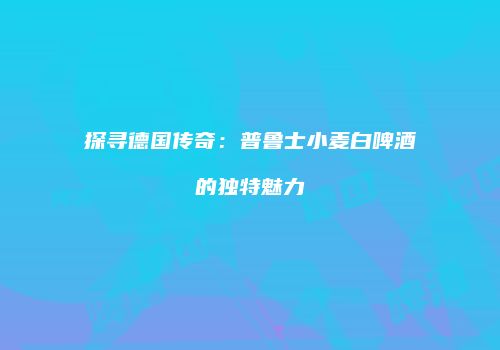 探寻德国传奇：普鲁士小麦白啤酒的独特魅力