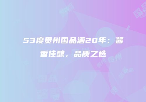 53度贵州国品酒20年：酱香佳酿，品质之选
