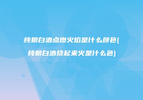 纯粮白酒点燃火焰是什么颜色(纯粮白酒烧起来火是什么色)