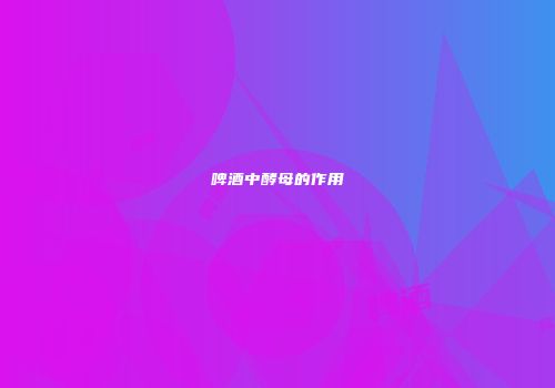 啤酒中酵母的作用