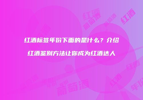 红酒标签年份下面的是什么？介绍红酒鉴别方法让你成为红酒达人
