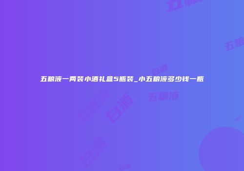 五粮液一两装小酒礼盒5瓶装_小五粮液多少钱一瓶