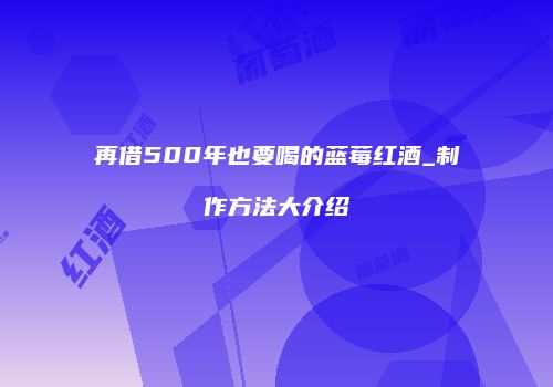 再借500年也要喝的蓝莓红酒_制作方法大介绍