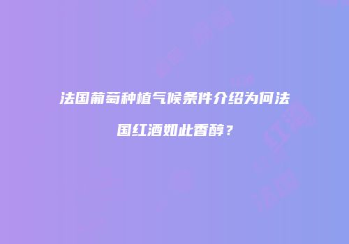 法国葡萄种植气候条件介绍为何法国红酒如此香醇？